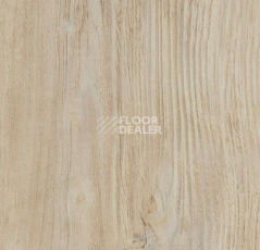 Кварцвиниловые полы Forbo Allura Wood 60084DR7-60084DR5 bleached rustic pine фото 1 | FLOORDEALER